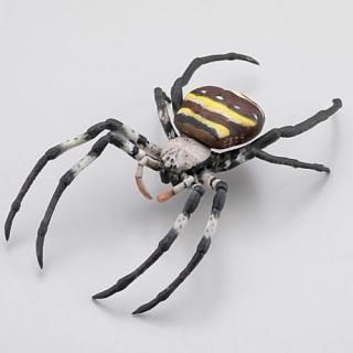 ���ץ���Q�ߥ塼������ ���ܤ����᥹�ȥ�åץ��쥯����� ���⥳�졪 [1.�����ͥ���]�ڥͥ��ݥ������б��ۡ�C��