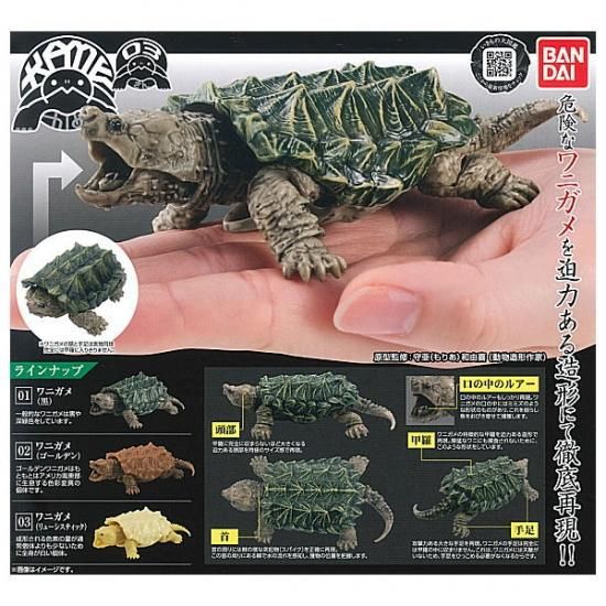 全部揃ってます!!】かめ03 ガシャポン [全3種セット(フルコンプ