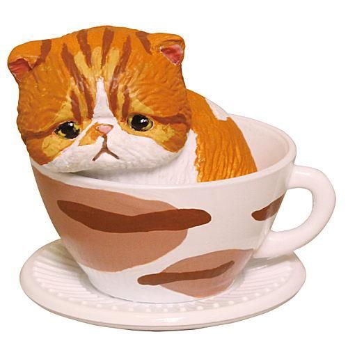 猫カップ [1.エキゾチック(茶トラ)]【 ネコポス不可 】【C】 - ガチャガチャ/食玩/通販 トイサンタ本店フィギュア・カプセルトイ