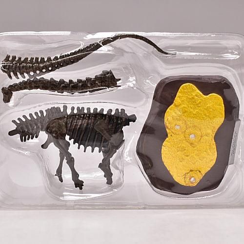 恐竜マスター 1 ディプロドクス 化石カラー ネコポス不可 ガチャガチャ 食玩 通販 トイサンタ本店 フィギュア カプセルトイ 恐竜マスター 1 ディプロドクス 化石カラー ネコポス不可 ガチャガチャ 食玩 通販 トイサンタ本店 フィギュア カプセルトイ