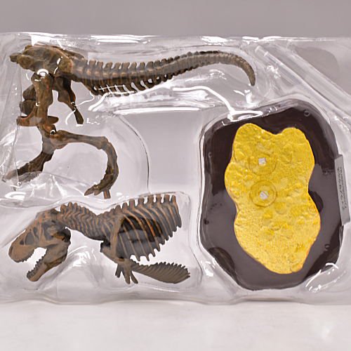 恐竜マスター [2.ティラノサウルス 化石カラー ネコポス不可