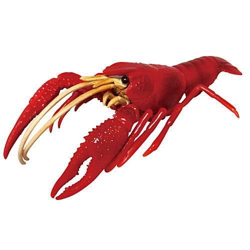 みずべのなかま ザリガニ ヤドカリ カメ 1 アメリカザリガニ ネコポス配送対応 C ガチャガチャ カプセルトイ 食玩の通販 トイサンタ本店 みずべのなかま ザリガニ ヤドカリ カメ 1 アメリカザリガニ ネコポス配送対応 C ガチャガチャ カプセルトイ 食玩の通販 トイサンタ本店