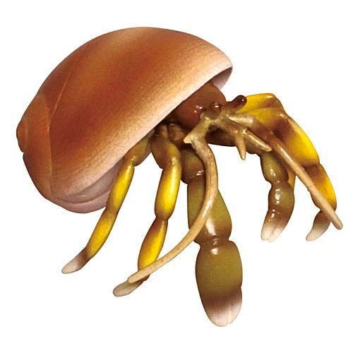 みずべのなかま ザリガニ ヤドカリ カメ 2 ホンヤドカリ ネコポス配送対応 C ガチャガチャ カプセルトイ 食玩の通販 トイサンタ本店 みずべのなかま ザリガニ ヤドカリ カメ 2 ホンヤドカリ ネコポス配送対応 C ガチャガチャ カプセルトイ 食玩の通販 トイサンタ本店