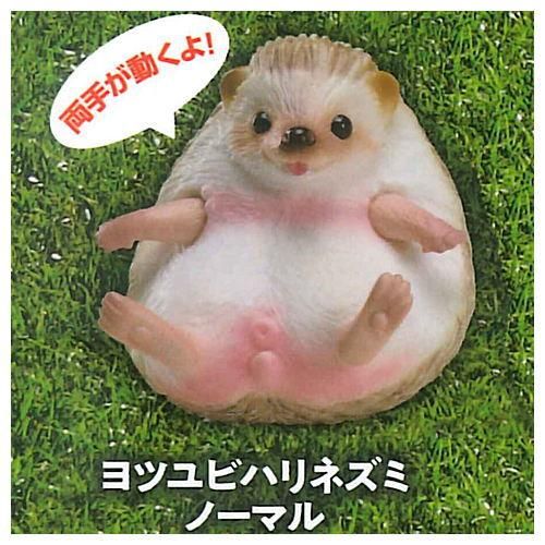 極楽はんどりんぐフィギュア 超愛でる系デフォルメちっくフィギュア 動物アイドル編 シリーズ1 1 ヨツユビハリネズミ ノーマル ネコポス不可 C ガチャガチャ 食玩 通販 トイサンタ本店 フィギュア カプセルトイ