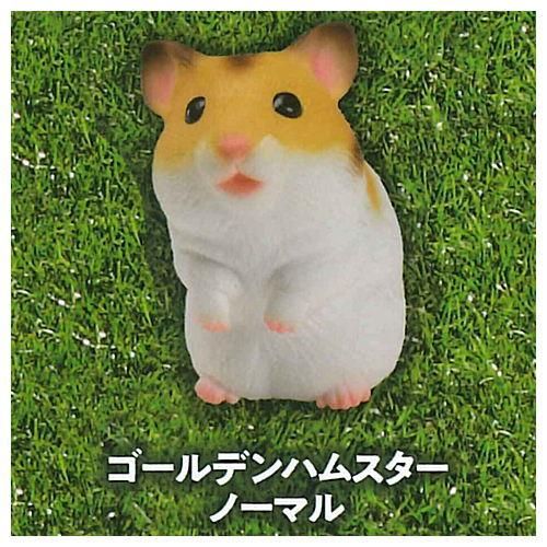 極楽はんどりんぐフィギュア 超愛でる系デフォルメちっくフィギュア 動物アイドル編 シリーズ1 3 ゴールデンハムスター ノーマル ネコポス不可 C ガチャガチャ 食玩 通販 トイサンタ本店 フィギュア カプセルトイ