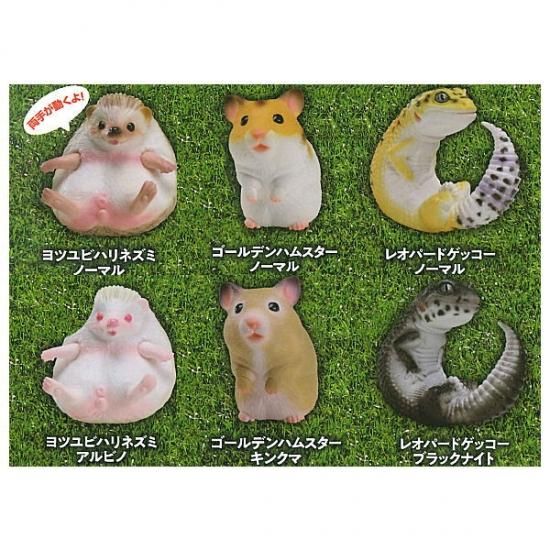 極楽はんどりんぐフィギュア 超愛でる系デフォルメちっくフィギュア 動物アイドル編 シリーズ1 ノーマル6種セット シークレットは含まない ネコポス不可 C ガチャガチャ 食玩 通販 トイサンタ本店 フィギュア カプセルトイ
