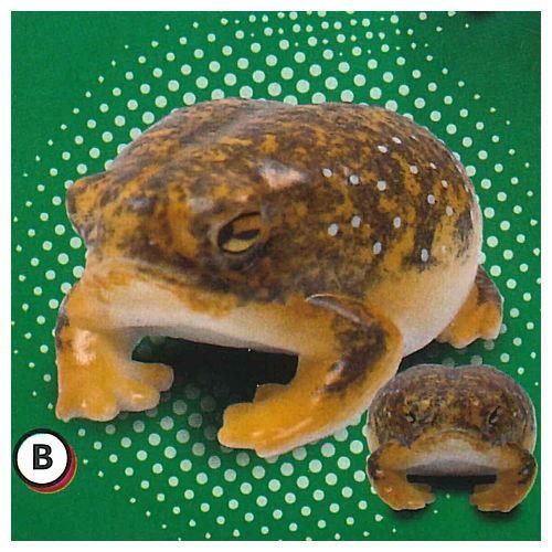 世界一かわいいカエル プニュプニュ きもかわ アフリカジムグリガエル マスコット 2 B 橙色 ネコポス配送対応 C 食玩 ガチャガチャ 専門店 トイサンタ本店