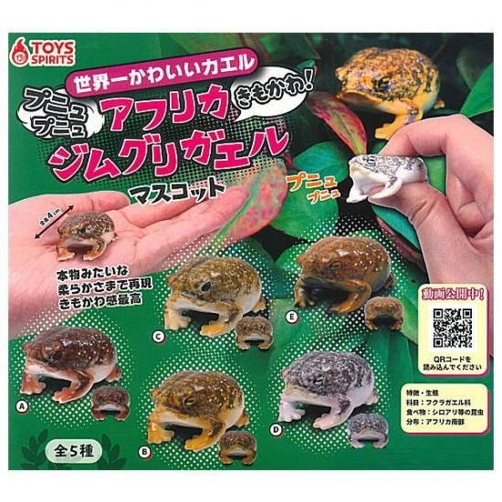 全部揃ってます 世界一かわいいカエル プニュプニュ きもかわ アフリカジムグリガエル マスコット 全5種セット フルコンプ ネコポス配送対応 C ガチャガチャ 食玩 通販 トイサンタ本店 フィギュア カプセルトイ