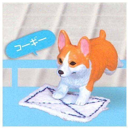 ぞうきんがけ当番 その二 1 コーギー ネコポス配送対応 C ガチャガチャ 食玩 通販 トイサンタ本店 フィギュア カプセルトイ ぞうきんがけ当番 その二 1 コーギー ネコポス配送対応 C ガチャガチャ 食玩 通販 トイサンタ本店 フィギュア カプセルトイ