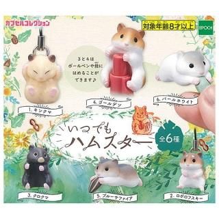 ·äƤޤ!!ۤĤǤϥॹ [6糧å(ե륳)]ڥͥݥбۡC