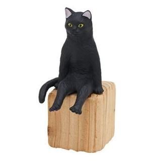 �¤���ǭ [3.����]�� �ͥ��ݥ��Բ� �ۡ�C��