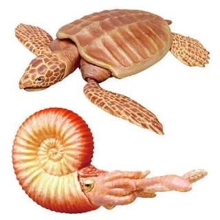 फγ Ϥޤ [3.ܥʥ]ڥͥݥб C