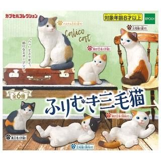 ·äƤޤ!!ۤդभǭ [6糧å(ե륳)]ڥͥݥбۡC