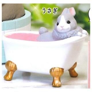 ��������������Ǥ������ޤ��� [5.������]�� �ͥ��ݥ��Բ� �ۡ�C��