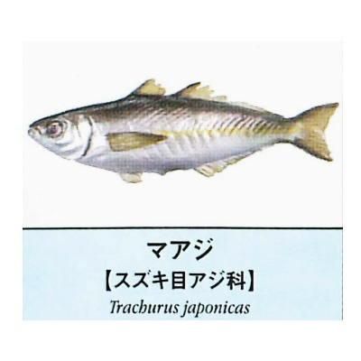 原色図鑑シリーズ 原色海水魚図鑑 10 マアジ ネコポス配送対応 C ガチャガチャ 食玩 通販 トイサンタ本店 フィギュア カプセルトイ