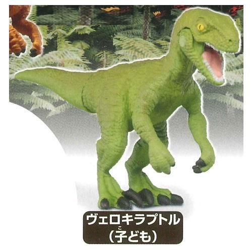 カプセルアニア 恐竜と古代生物大集合 8 ヴェロキラプトル 子ども ネコポス配送対応 C ガチャガチャ 食玩 通販 トイサンタ本店 フィギュア カプセルトイ カプセルアニア 恐竜と古代生物大集合 8 ヴェロキラプトル 子ども ネコポス配送対応 C ガチャガチャ 食玩 通販 トイサンタ本店 フィギュア カプセルトイ