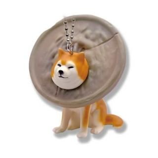 ���ޤ긤3 �ޥ����åȥܡ���������� [3.���¤θ��˶��ޤ긤]�� �ͥ��ݥ��Բ� �ۡ�C��