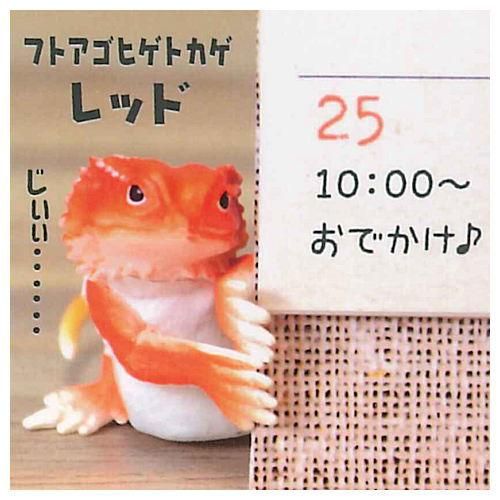 チラッとのぞき見 レオパたち 1 フトアゴヒゲトカゲ レッド ネコポス配送対応 C 食玩 ガチャガチャ 専門店 トイサンタ チラッとのぞき見 レオパたち 1 フトアゴヒゲトカゲ レッド ネコポス配送対応 C 食玩 ガチャガチャ 専門店 トイサンタ