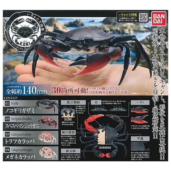 全部揃ってます かに いきもの大図鑑 ガシャポン 全4種セット フルコンプ ネコポス不可 ガチャガチャ 食玩 通販 トイサンタ本店 フィギュア カプセルトイ