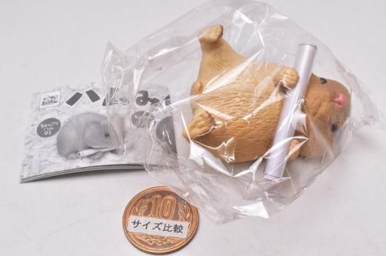 ごろりんハム01 はやし ハムみくじ