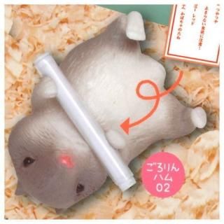 �ϥ�ߤ��� [6.�������ϥ�02]�� �ͥ��ݥ��Բ� �ۡ�C��