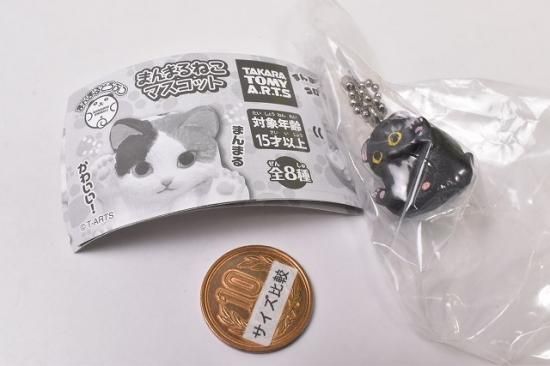 まんまるどうぶつ まんまるねこマスコット [4.スコティッシュ