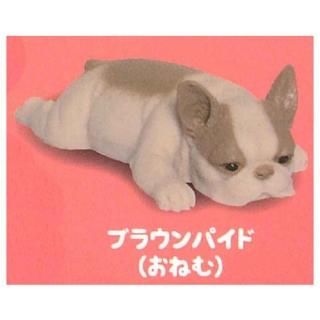 ��ˤ��ˤ���������ʥե����֥�ɥå��� [2.�֥饦��ѥ���(���ͤ�)]�ڥͥ��ݥ������б��ۡ�C��