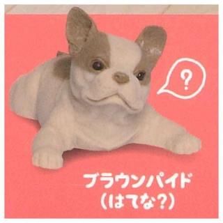 ��ˤ��ˤ���������ʥե����֥�ɥå��� [6.�֥饦��ѥ���(�ϤƤʡ�)]�ڥͥ��ݥ������б��ۡ�C��