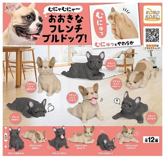 全部揃ってます むにゃむにゃ おおきなフレンチブルドッグ 全12種セット フルコンプ ネコポス不可 C ガチャガチャ 食玩 通販 トイサンタ本店 フィギュア カプセルトイ