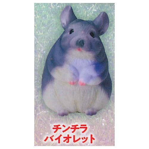 極楽はんどりんぐフィギュア 超愛でる系デフォルメちっくフィギュア 動物アイドル編 シリーズ2 3 チンチラ バイオレット ネコポス不可 C ガチャガチャ 食玩 通販 トイサンタ本店 フィギュア カプセルトイ