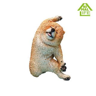 ANIMAL LIFE Dancing Dog [1.㥦㥦] ͥݥԲ 