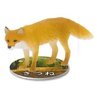 ͥ㡼ƥ˥顼 MICRO ΤΤ [2.Ĥ]ڥͥݥбۡC