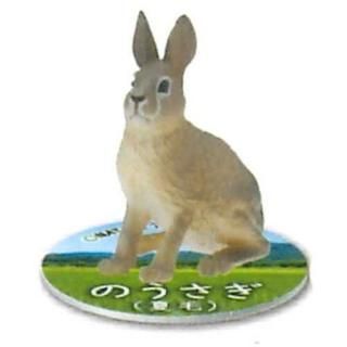 ͥ㡼ƥ˥顼 MICRO ΤΤ [4.Τ()]ڥͥݥбۡC