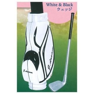 ����եХå��ޥ����å� [5.White��Black �����å�]�ڥͥ��ݥ������б��ۡ�C��