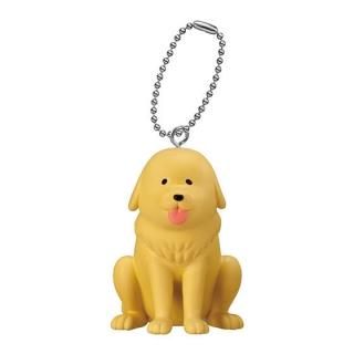 �ޤ᤭���ޤᤳ�ˡ��Ȥ����� �ޥ����åȥ����� [2.���ޤ�]�ڥͥ��ݥ������б��ۡ�C��