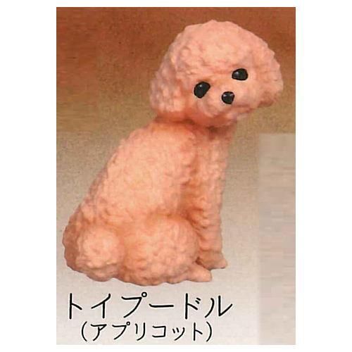 ふり向けば君が 犬 またね 3 トイプードル アプリコット ネコポス配送対応 C ガチャガチャ 食玩 通販 トイサンタ本店 フィギュア カプセルトイ ふり向けば君が 犬 またね 3 トイプードル アプリコット ネコポス配送対応 C ガチャガチャ 食玩 通販 トイサンタ本店 フィギュア カプセルトイ