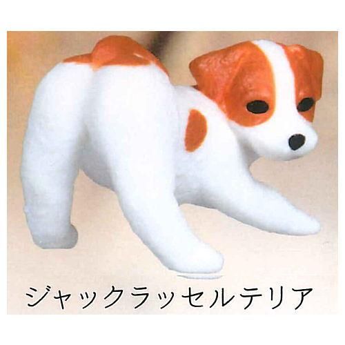 ふり向けば君が 犬 またね 5 ジャックラッセルテリア ネコポス配送対応 C ガチャガチャ 食玩 通販 トイサンタ本店 フィギュア カプセルトイ ふり向けば君が 犬 またね 5 ジャックラッセルテリア ネコポス配送対応 C ガチャガチャ 食玩 通販 トイサンタ本店 フィギュア カプセルトイ
