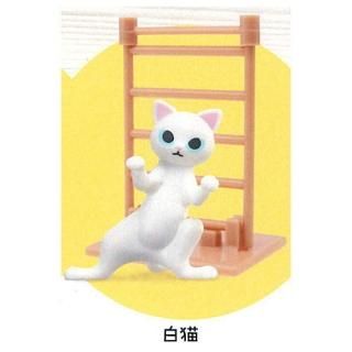 �ߥ�ǭ�ϸ����� [2.��ǭ]�ڥͥ��ݥ������б��ۡ�C��