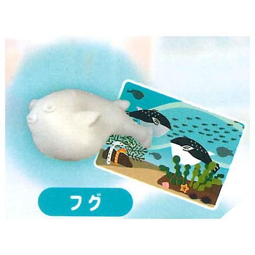 ミニチュア アクアリウム 3 フグ ネコポス不可 ガチャガチャ 食玩 通販 トイサンタ本店 フィギュア カプセルトイ