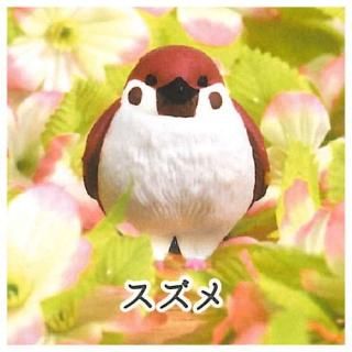 ��̵�� [4.������]�ڥͥ��ݥ������б��� ��C��