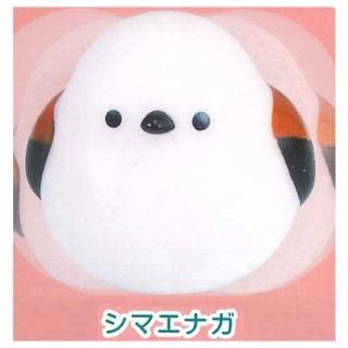 ���Ȥ�Τ���� [1.���ޥ��ʥ�]�� �ͥ��ݥ��Բ� ��