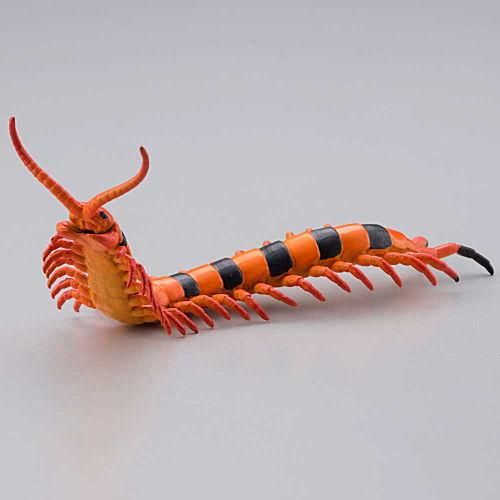カプセルqミュージアム 有毒危険動物大全 Ii 1 インディアンタイガーセンチピード 海洋堂 ガチャガチャ カプセルトイ 通販 カプセルqミュージアム 有毒危険動物大全 Ii 1 インディアンタイガーセンチピード 海洋堂 ガチャガチャ カプセルトイ 通販