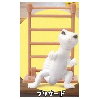 �쥪�Ѥϸ����� [1.�֥ꥶ����]�� �ͥ��ݥ��Բ� �ۡ�C��