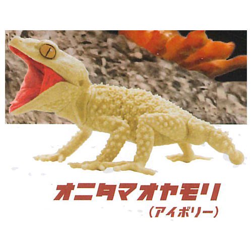 1/1 オニタマオヤモリ＆アルマジロトカゲ [2.オニタマオヤモリ