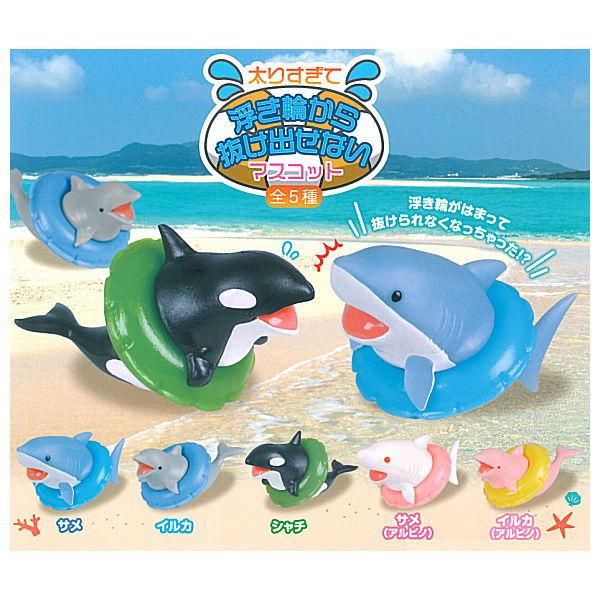 全部揃ってます 太りすぎて浮き輪から抜け出せないマスコット 全5種セット フルコンプ あそび研究所365 ガチャガチャ カプセルトイ 通販