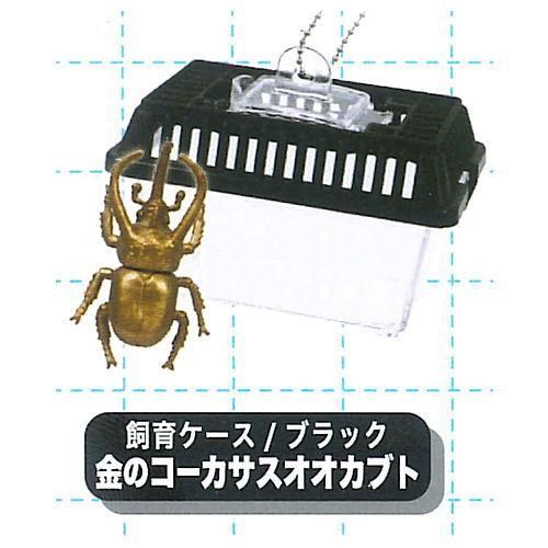 リアル 昆虫入り虫かごマスコットbc5 1 飼育ケース ブラック 金のコーカサスオオカブト J Dream ガチャガチャ カプセルトイ 通販 リアル 昆虫入り虫かごマスコットbc5 1 飼育ケース ブラック 金のコーカサスオオカブト J Dream ガチャガチャ カプセルトイ 通販