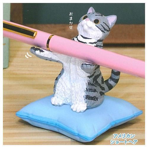 猫がお預かりします。 [5.アメリカンショートヘア] エール