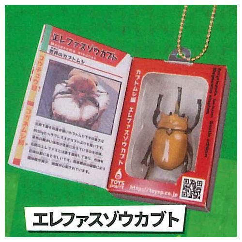 ざ・標本付き 昆虫百科事典マスコットvol.1 カブトムシ編 [5