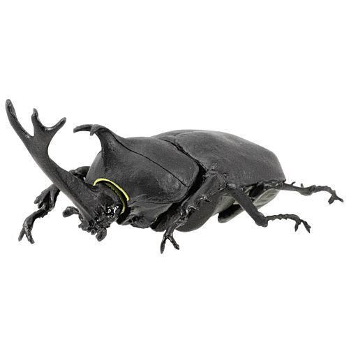 昆虫ハンター カブトムシ クワガタ 21 1 カブトムシ 黒 エフトイズ 食玩 通販 昆虫ハンター カブトムシ クワガタ 21 1 カブトムシ 黒 エフトイズ 食玩 通販