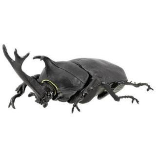 昆虫ハンター カブトムシ×クワガタ 2023 [1.カブトムシ(黒